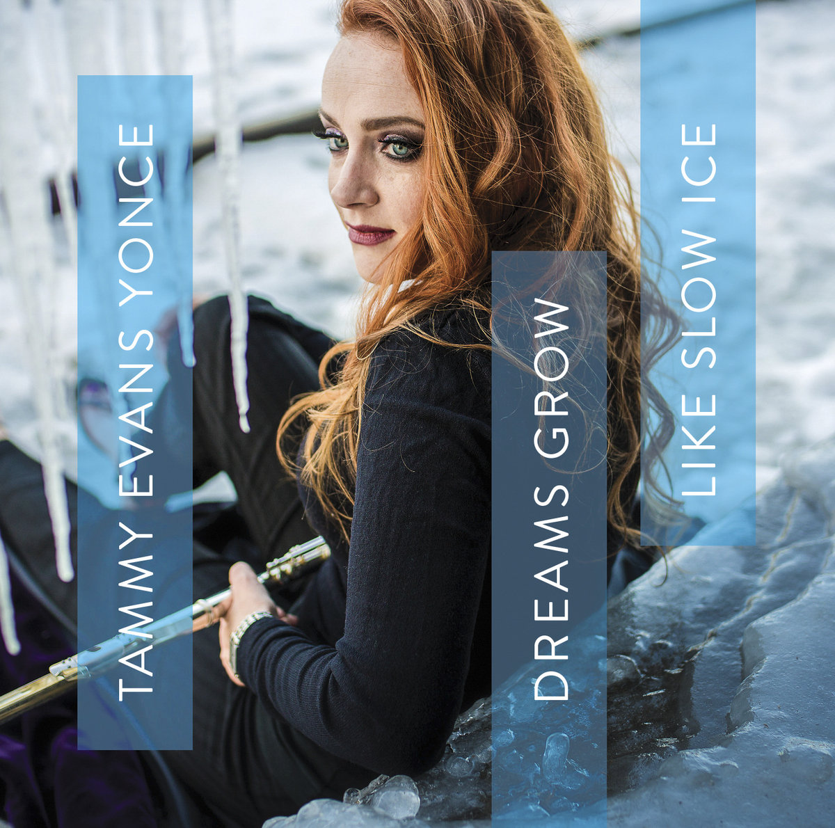 Dreams Grow Like Slow Ice - Album Cover